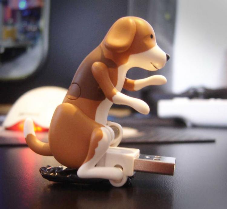 anjing usb jingga