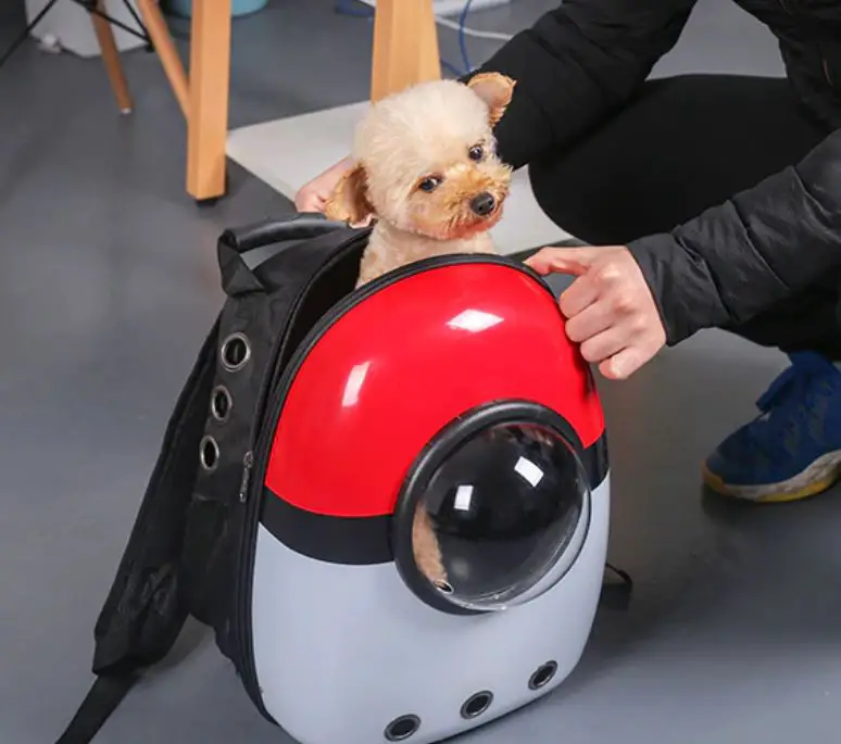 boleh bawa anjing dengan beg pokeball ini