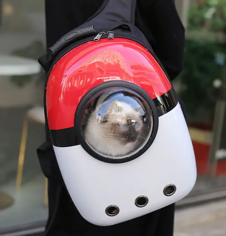 seekor kucing dalam beg galas pokeball