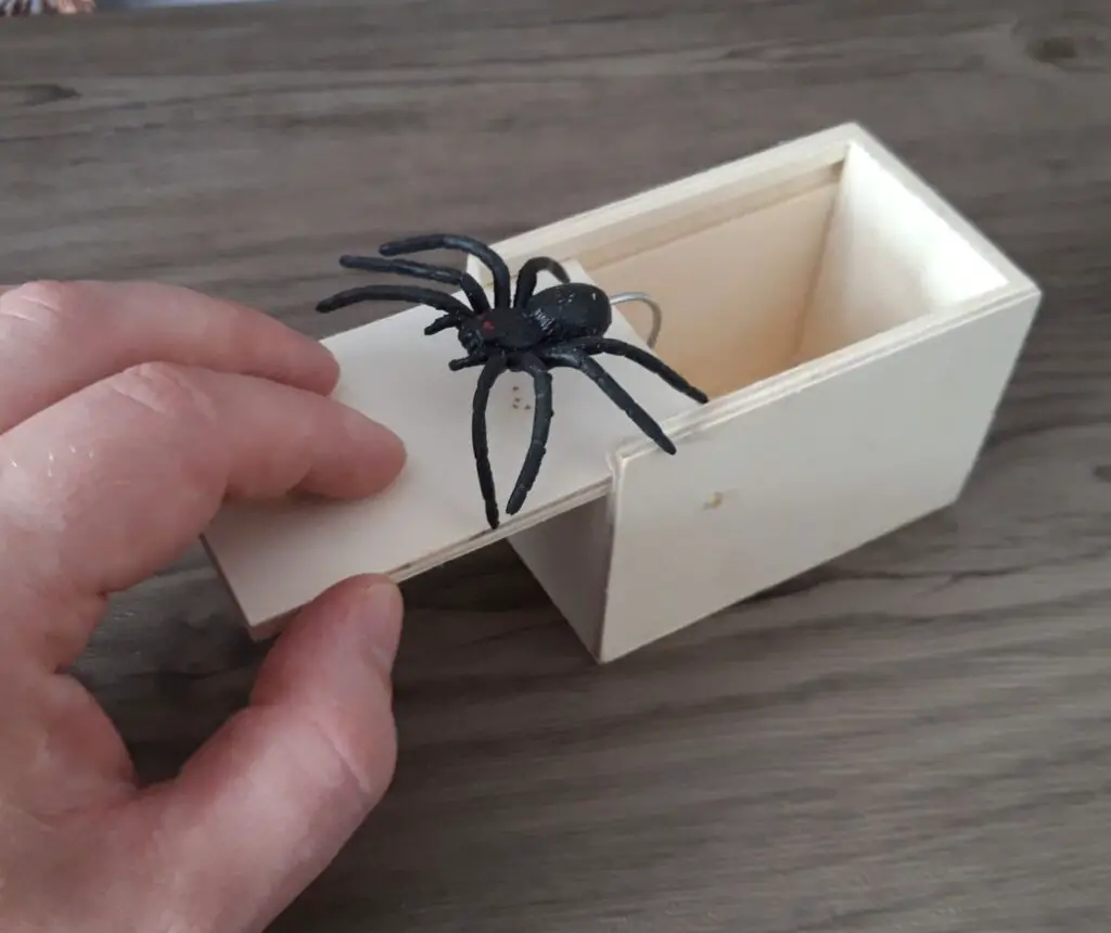 spider 5