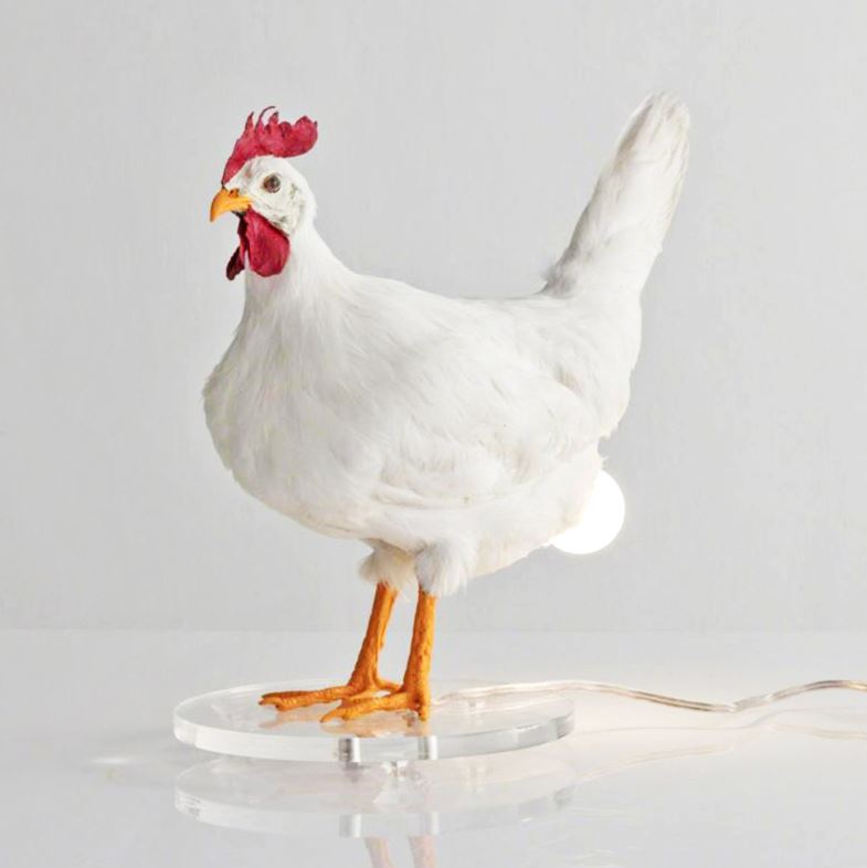 Lampu Telur Ayam Taxidermy