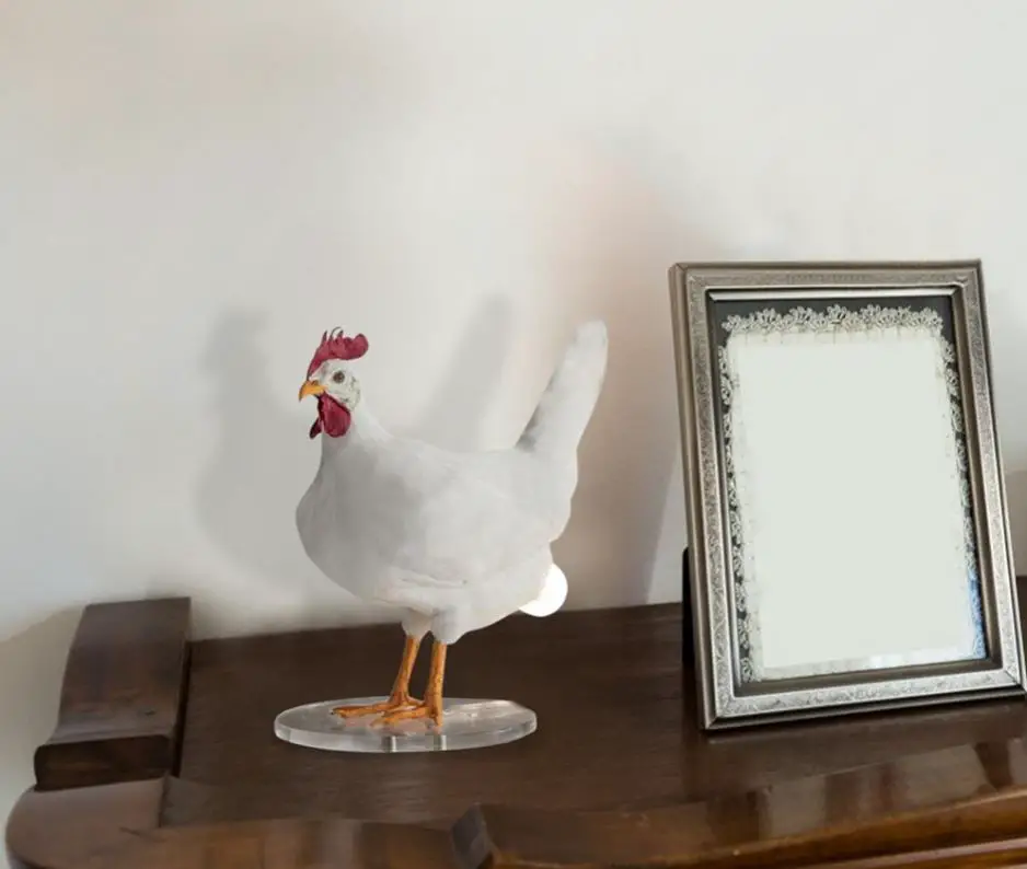 Lampu Telur Ayam Taxidermy